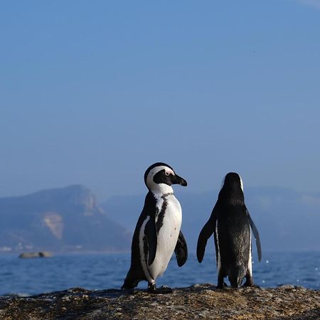 Penguin Haven . Luxury 2 Bedroom, Boulders Beach. Cape Town Exterior photo