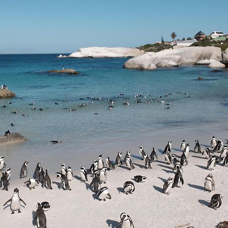 Penguin Haven . Luxury 2 Bedroom, Boulders Beach. Cape Town Exterior photo